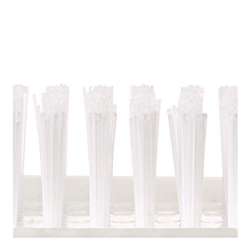 Heavy Duty Hand & Nail Brush with Polypropylene Bristles – Wonder Scrub
