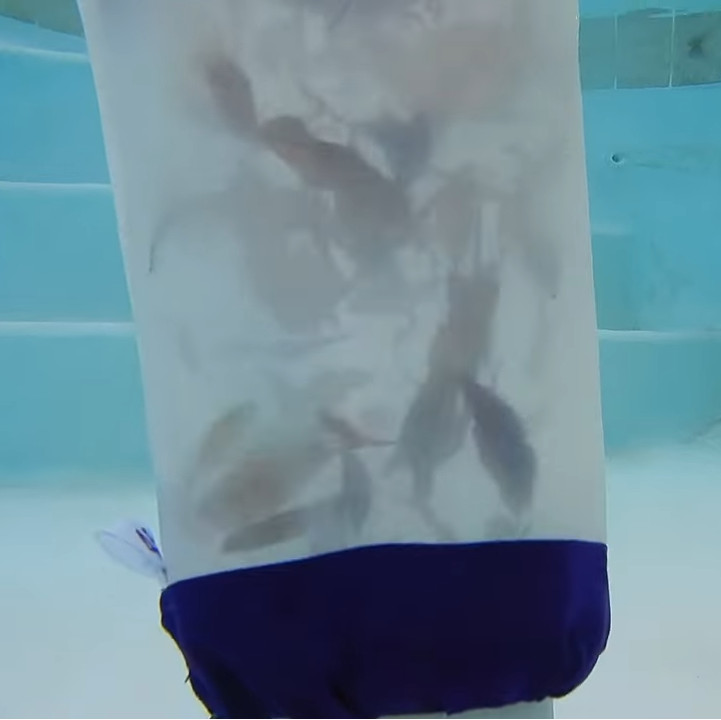 Clear Pool Replacement vacuum bags for Kokido and BWT vacuums