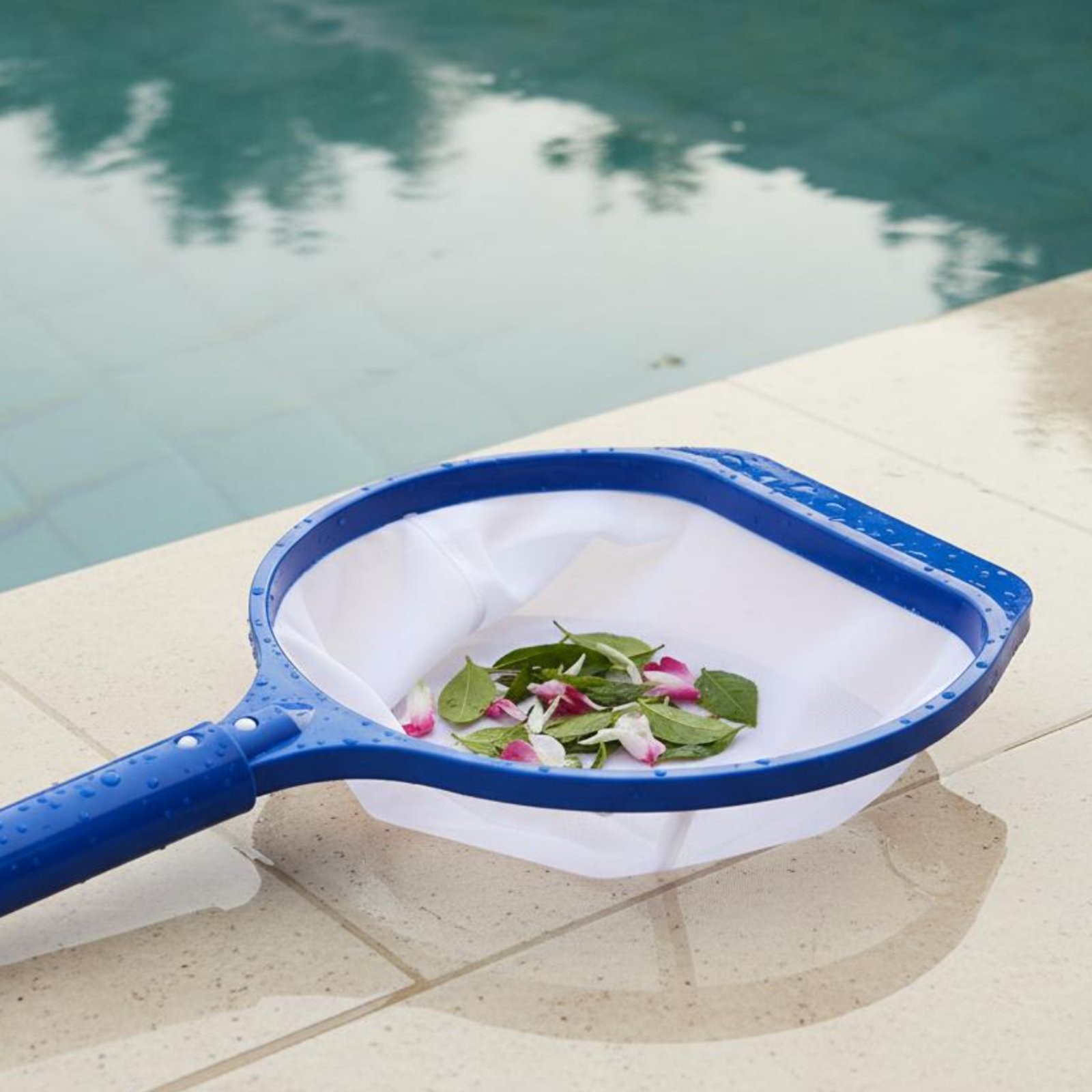 Fine Mesh Foliage Simple Debris Removal Debris Removal Swimming Pool Cleaning
