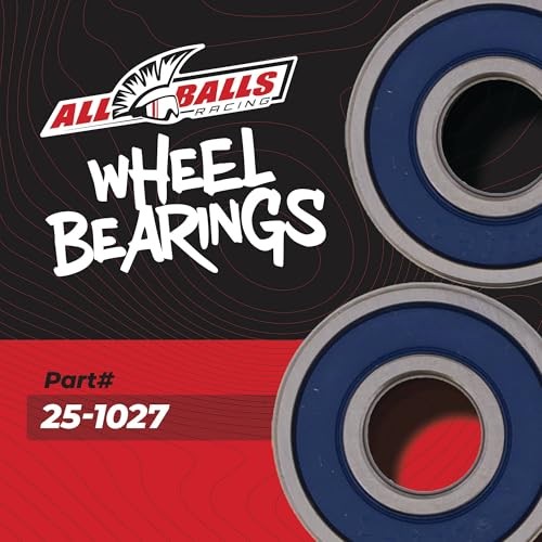 Racing 25-1027 Wheel Bearing Kit Compatible with/Replacement for Honda
