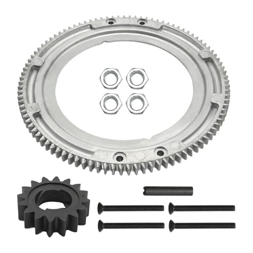 696537 Flywheel Ring Gear Kit, Replacement for BS 19K400 19E400 19F400 19G400