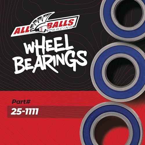 Racing 25-1111 Wheel Bearing Seal Kit Compatible with/Replacement for