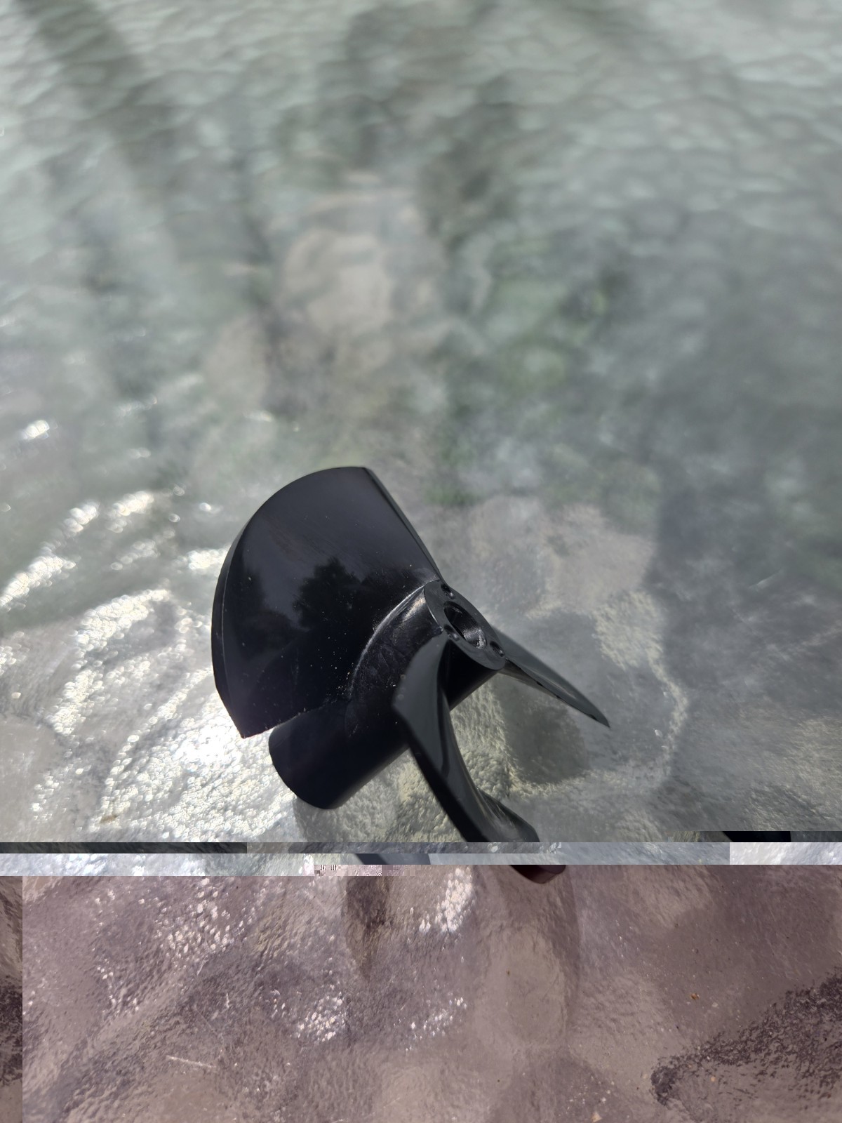Dolphin Genuine Replacement Part – Impeller with Screw (Black) for Pool Cleaners