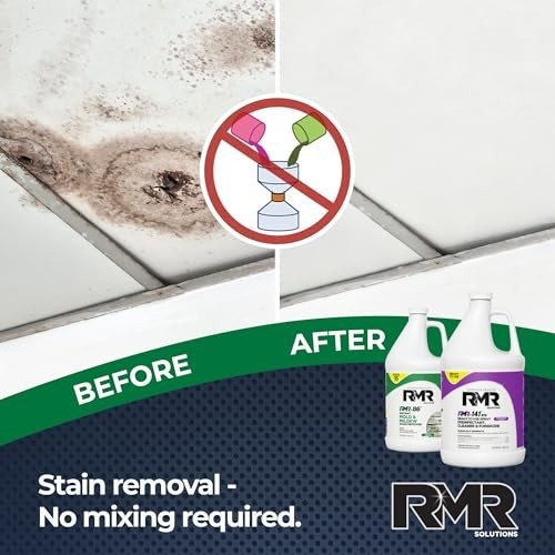 Mold Remover Bundle – Complete Mold Killer & Stain Remover Kit, 2×1 Gallon Disin