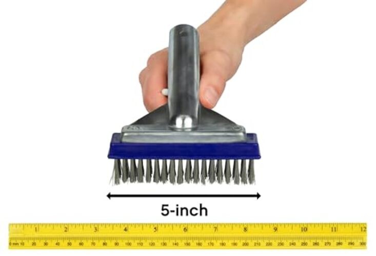 Stainless Steel Pool Algae Detail Brush, Heavy-Duty 5-Inch Steel Brush