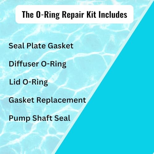 O-Ring Rebuild Kit (PRE 1998) for Sta-Rite P2RA & P2R Dura-Glas/MaxeGlas Pump