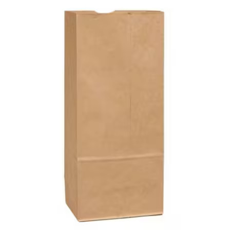 Manufacturer Varies Grocery Bag Flat Bottom 20 lb Brown, Pk500 18420