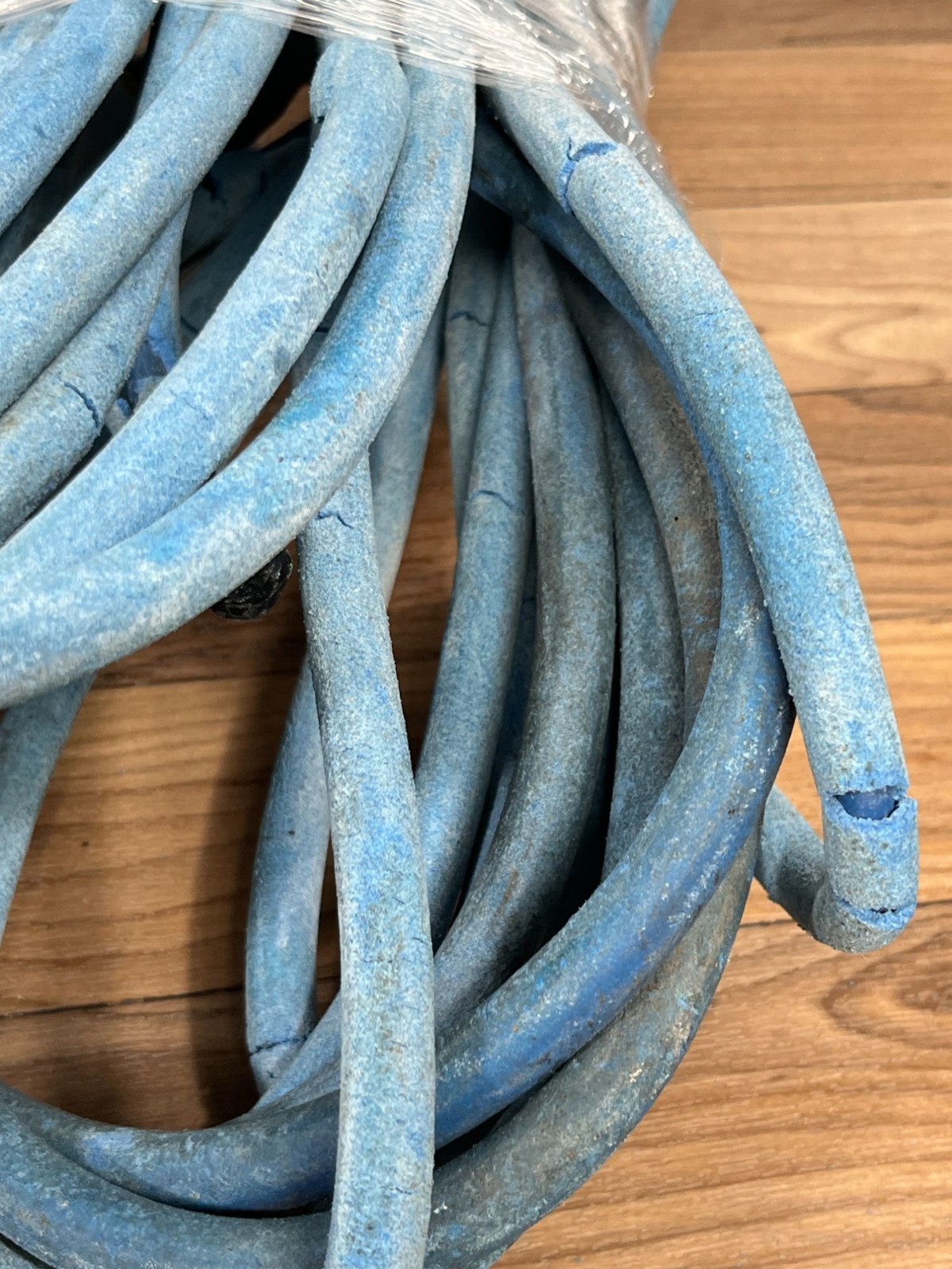 Maytronics Dolphin Proteus DX3 Pool Vacuum Only READ DESC