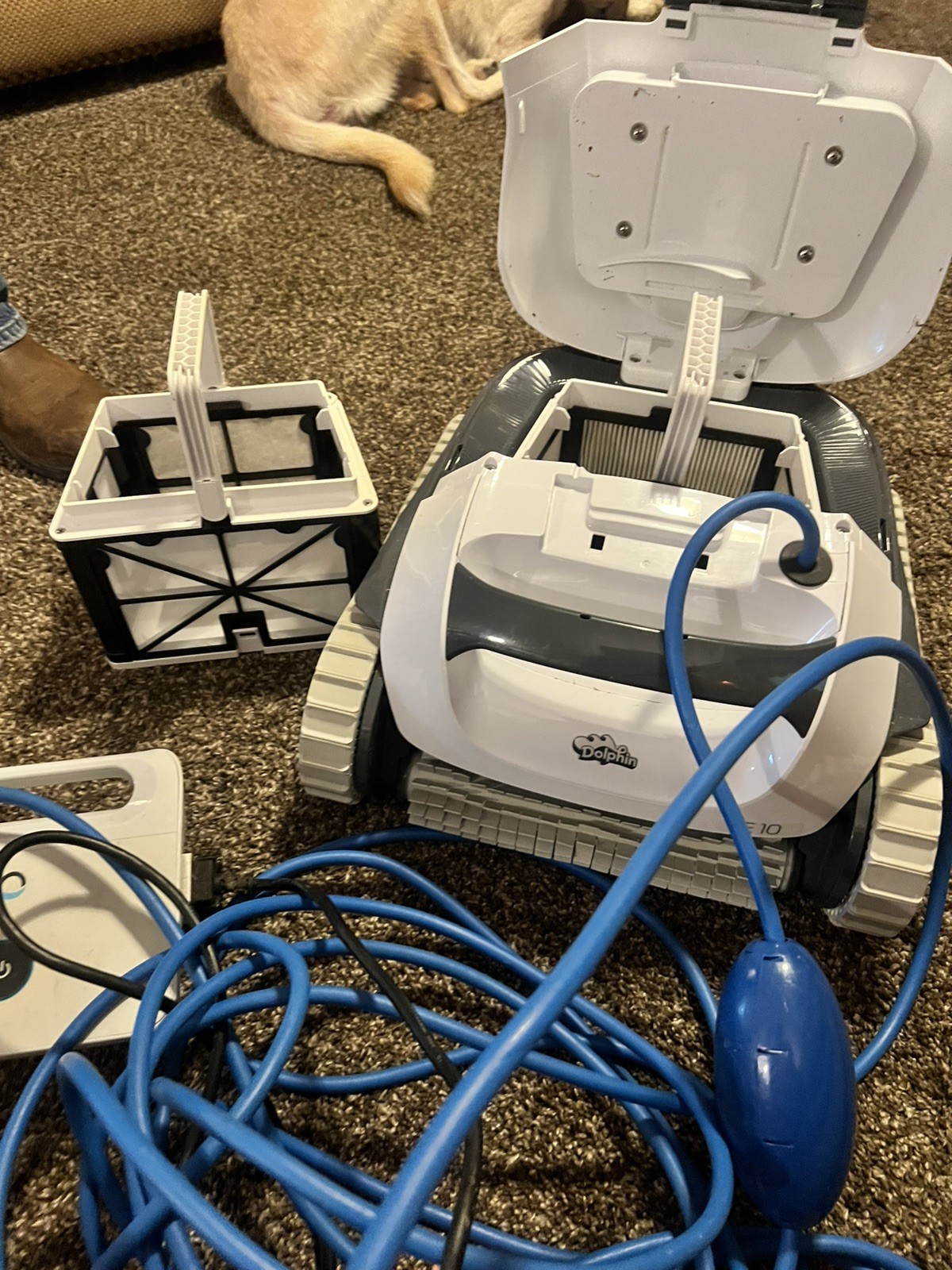 Dolphin E10 Automatic Robotic Pool Vacuum Cleaner, Active Scrubber Brush,