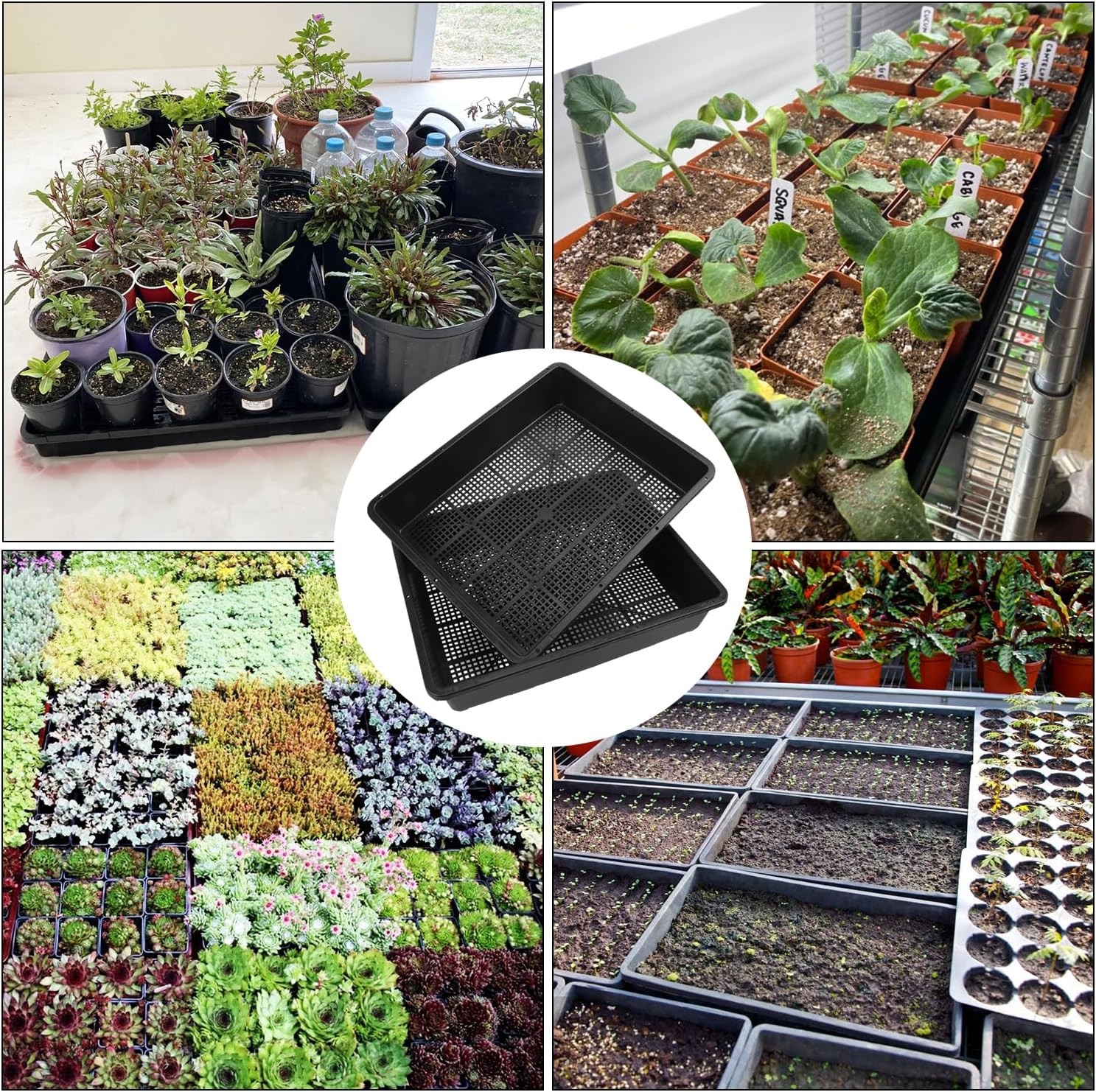 16 Pack Seed Starter Trays 15 X 12 Inches Microgreens Growing Trays with Mesh Bo