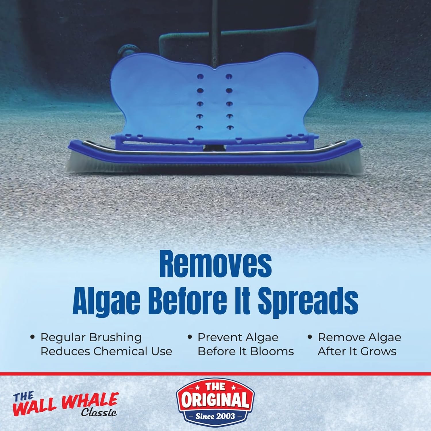 18&Prime; Swimming Pool Brush Head | More Than 10x the Brushing Force | Algae Removal