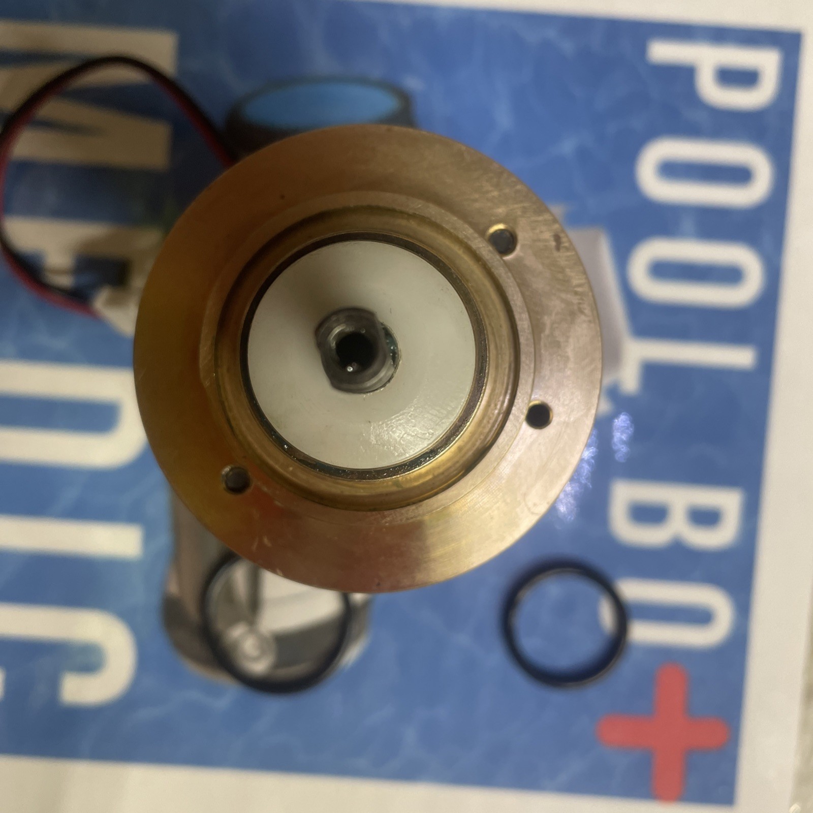 $100 USA OEM REBUILT $50 Back MAYTRONICS DOLPHIN IMPELLER MOTOR 5500032 63ZY100-