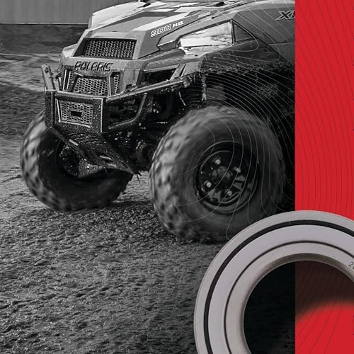 Racing 25-1624 Wheel Bearing Kit Rear Compatible with/Replacement For Honda