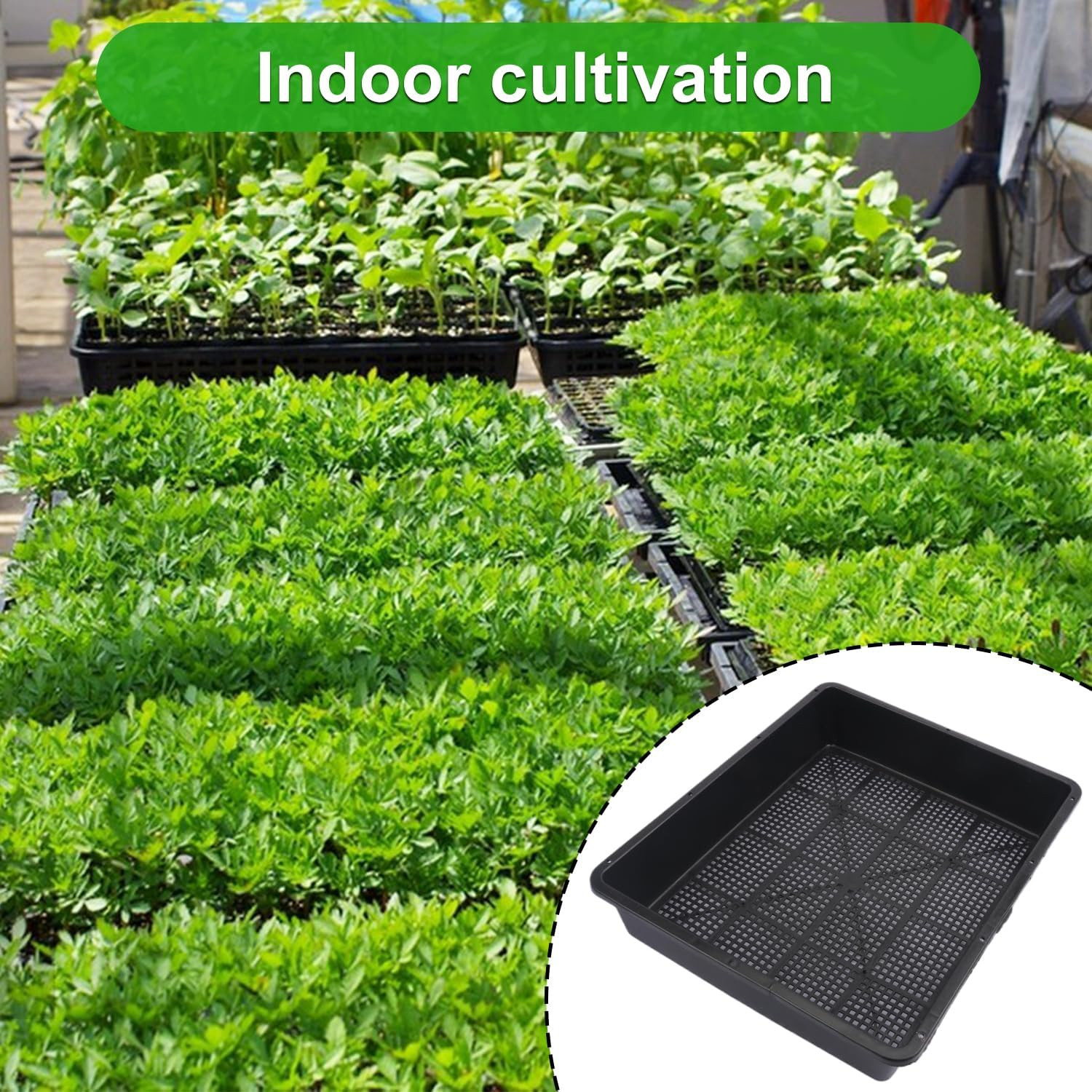 16 Pack Seed Starter Trays 15 X 12 Inches Microgreens Growing Trays with Mesh Bo