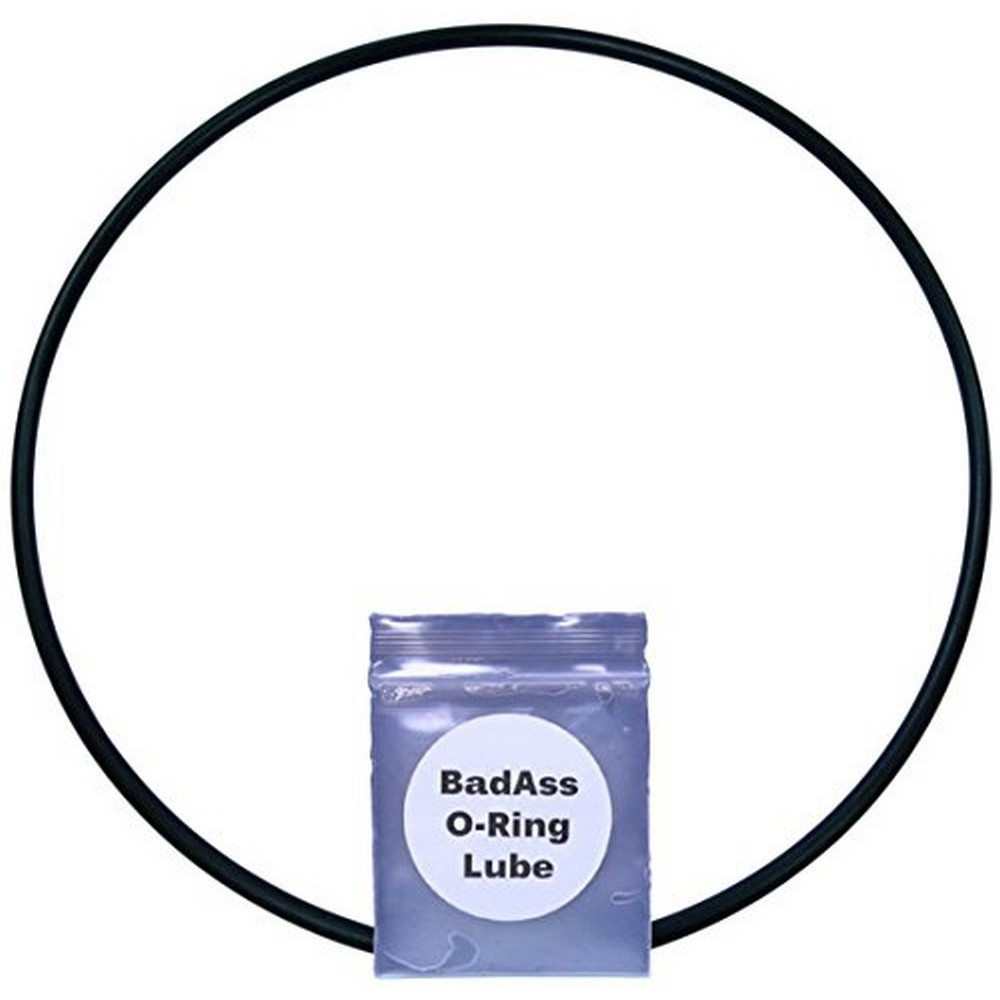 Pentair R18608 #256 O-Ring for Leaf Trap Model 180