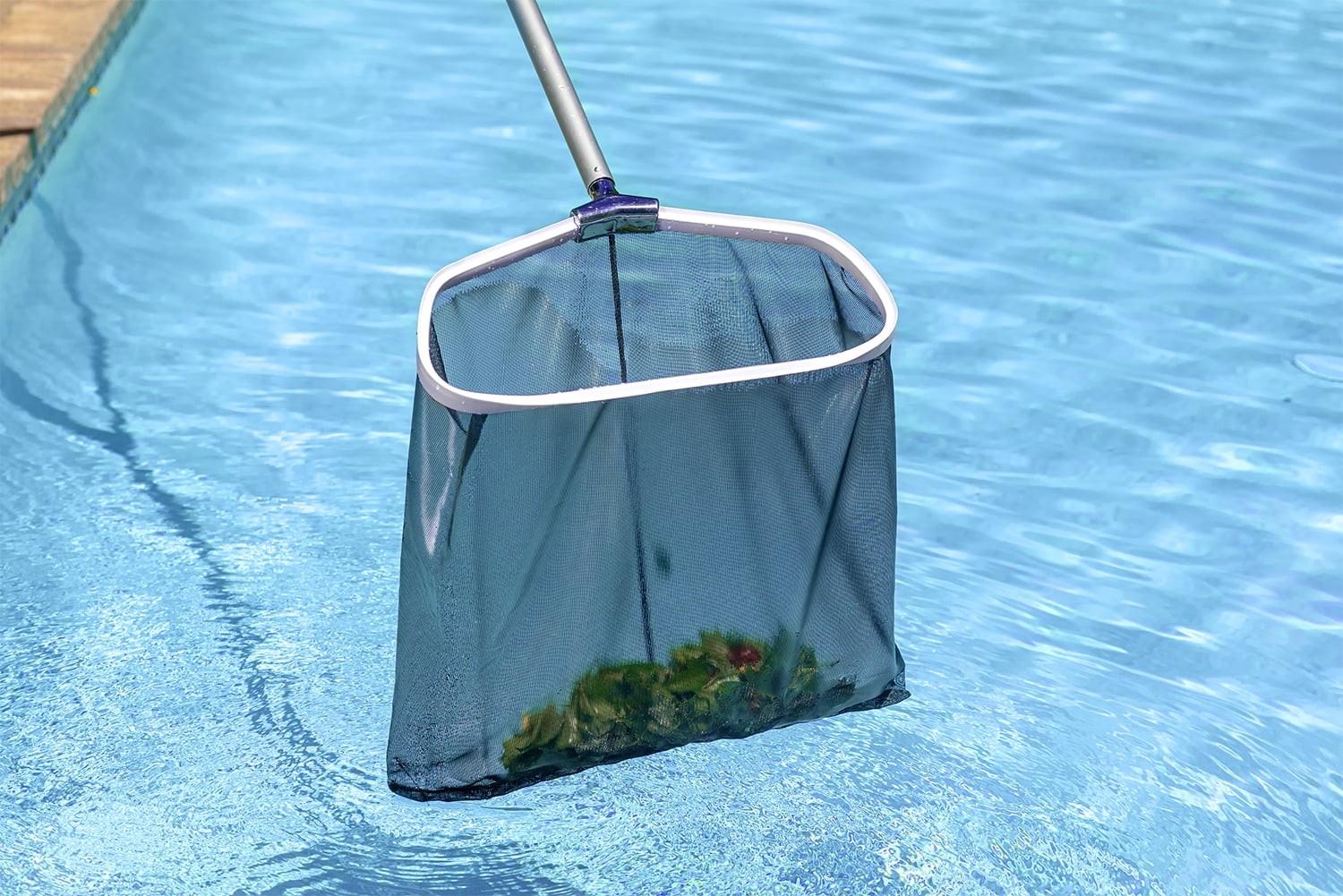 Premier Swimming Pool Leaf Rake – Commercial Collection