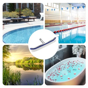 Swimming Pool Brush for Cleaning Pool Walls, Tiles & Floors, Heavy Duty Aluminum