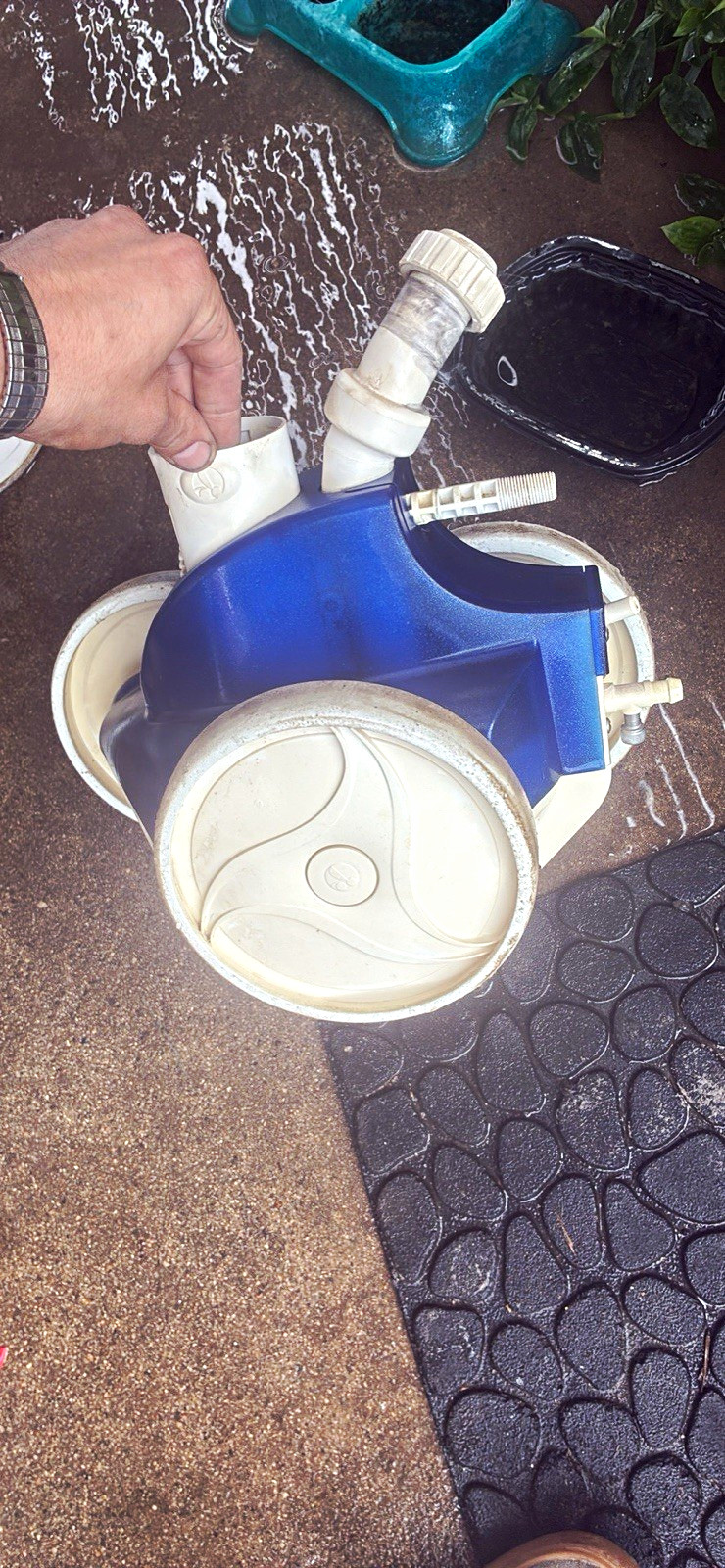 Blue/White Suction Pool Cleaner Vacuum Head Assembly w/ Hose Connector Fittings