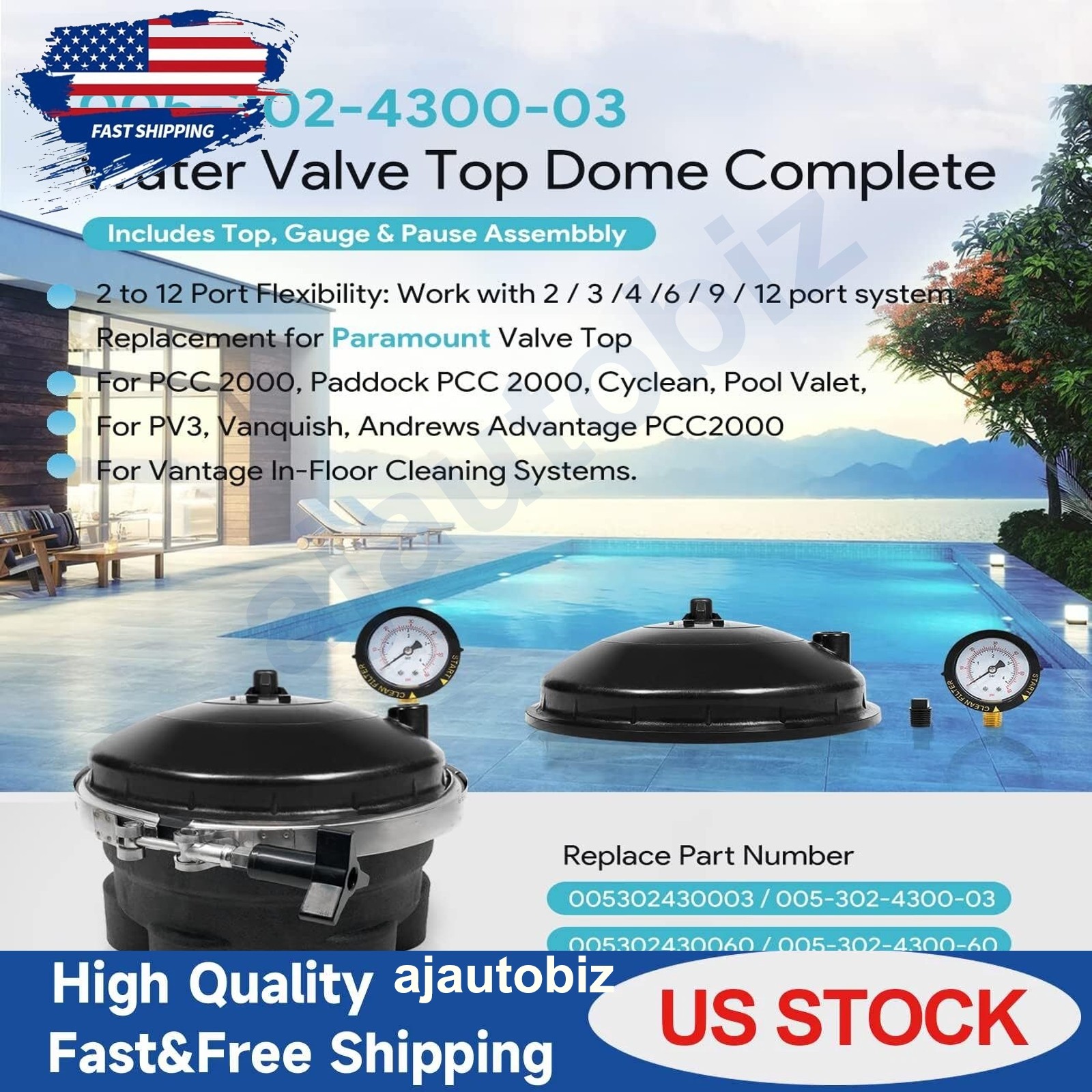 005-302-4300-03 Replace for Paramount Water Valve Top Dome Complete Assembly