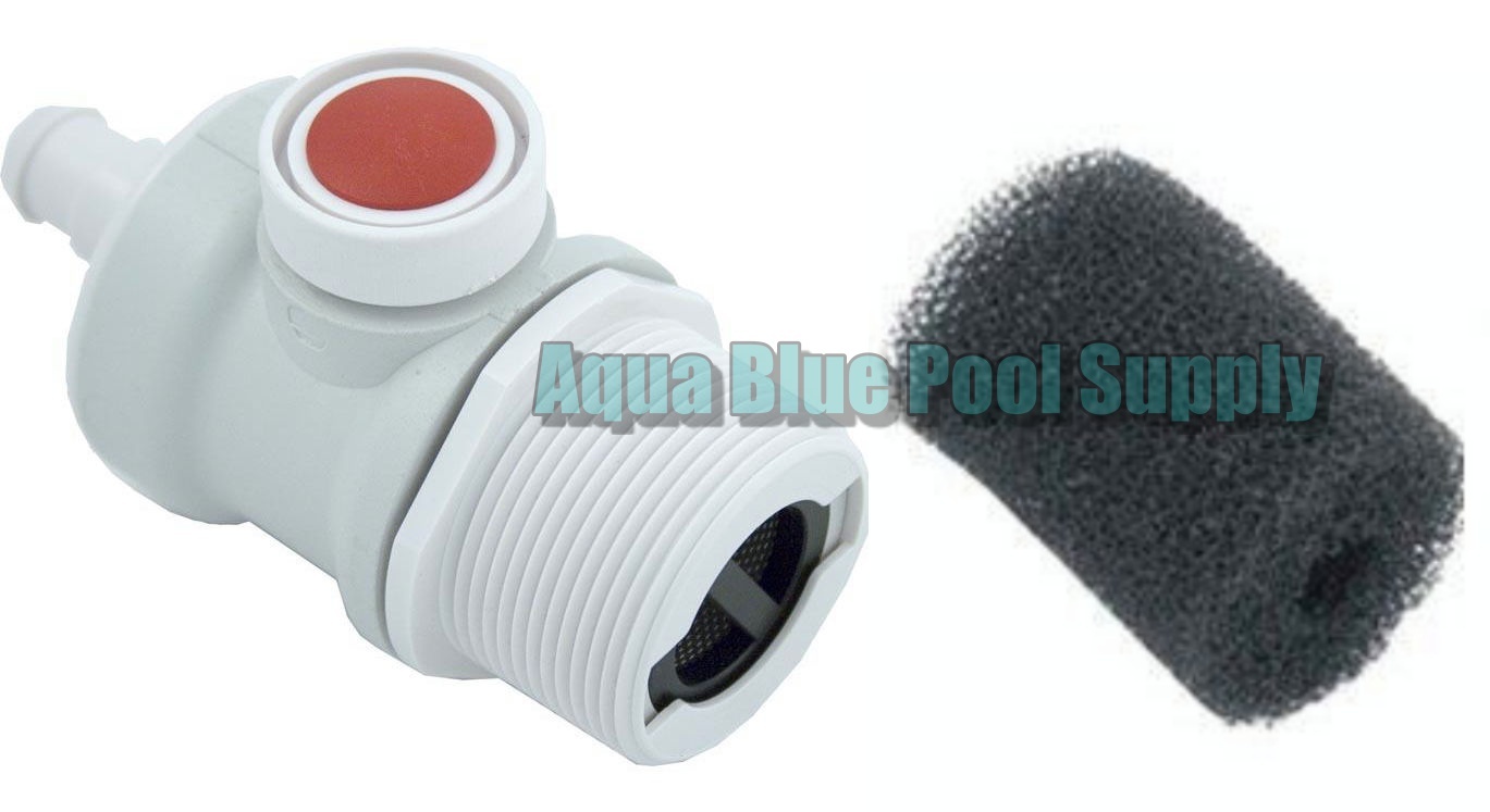 Pentair Letro Legend Wall Fitting w/Hose Scrubber Pool Cleaner Part EW22