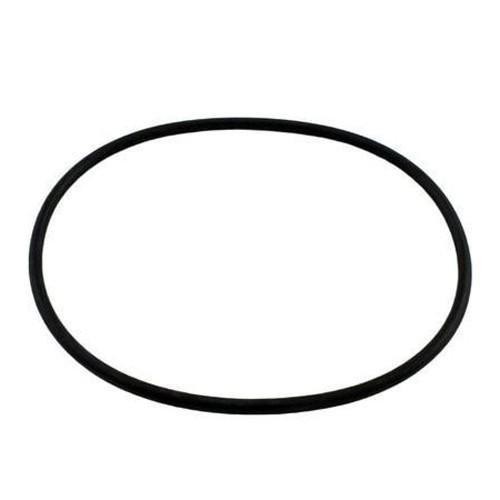 Hayward Leaf Canister O-Ring for W530 and W560 AXW542