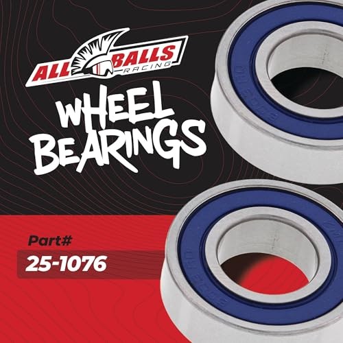 Racing 25-1076 Wheel Bearing Kit Compatible with/Replacement for Honda