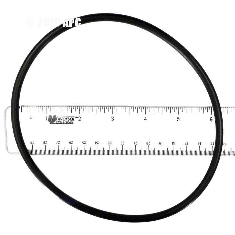 Hayward Leaf Canister O-Ring for W530 and W560 AXW542