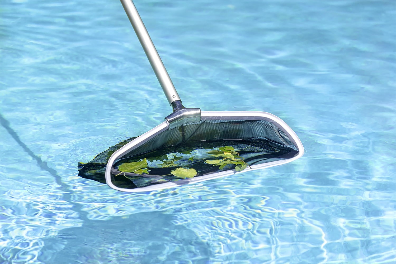 Premier Swimming Pool Leaf Rake – Commercial Collection