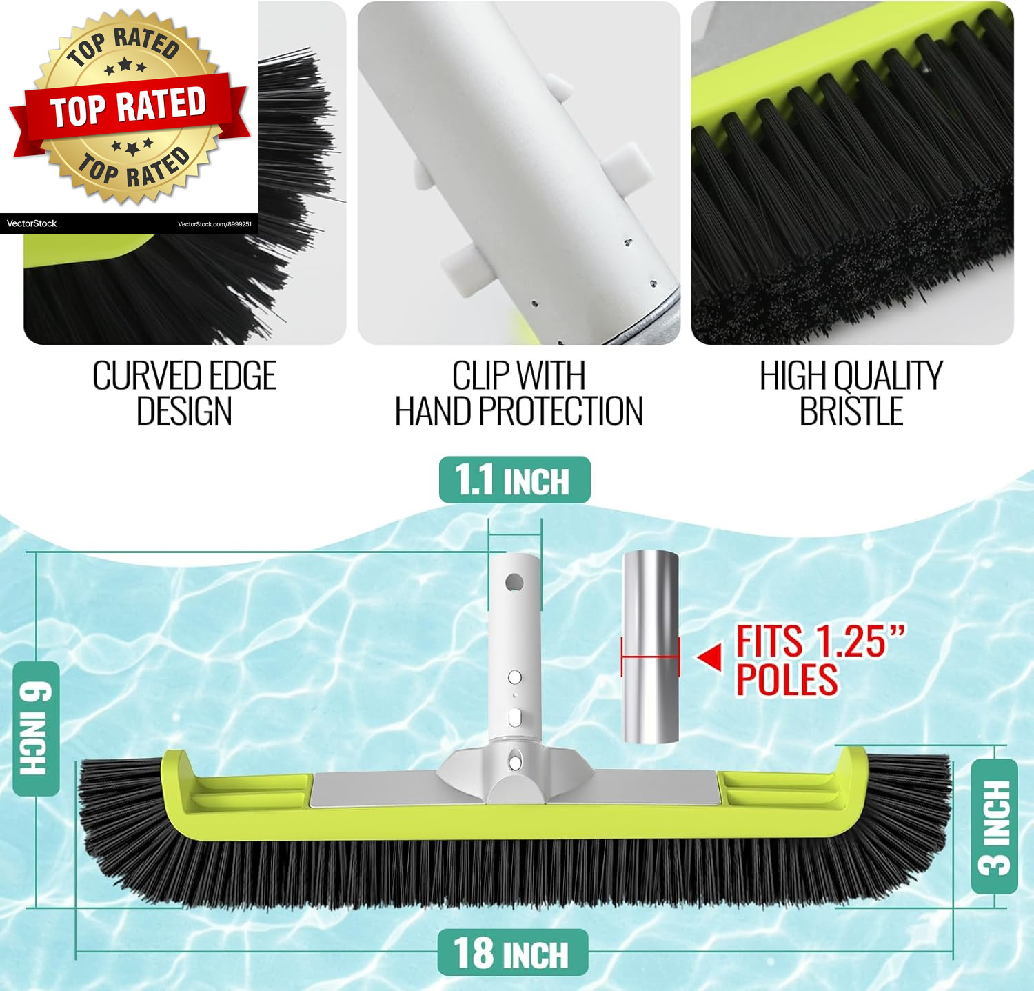 18&Prime; Pool Brush Head for Cleaning Swimming Pool Walls