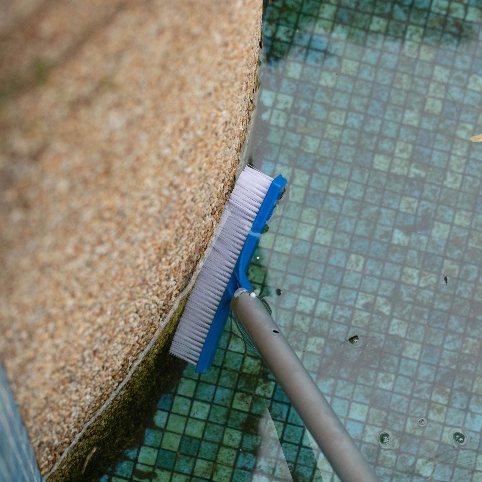 10Inch Poly Bristle Brush for Cleaning Walls, Floors, Steps & Pool Areas
