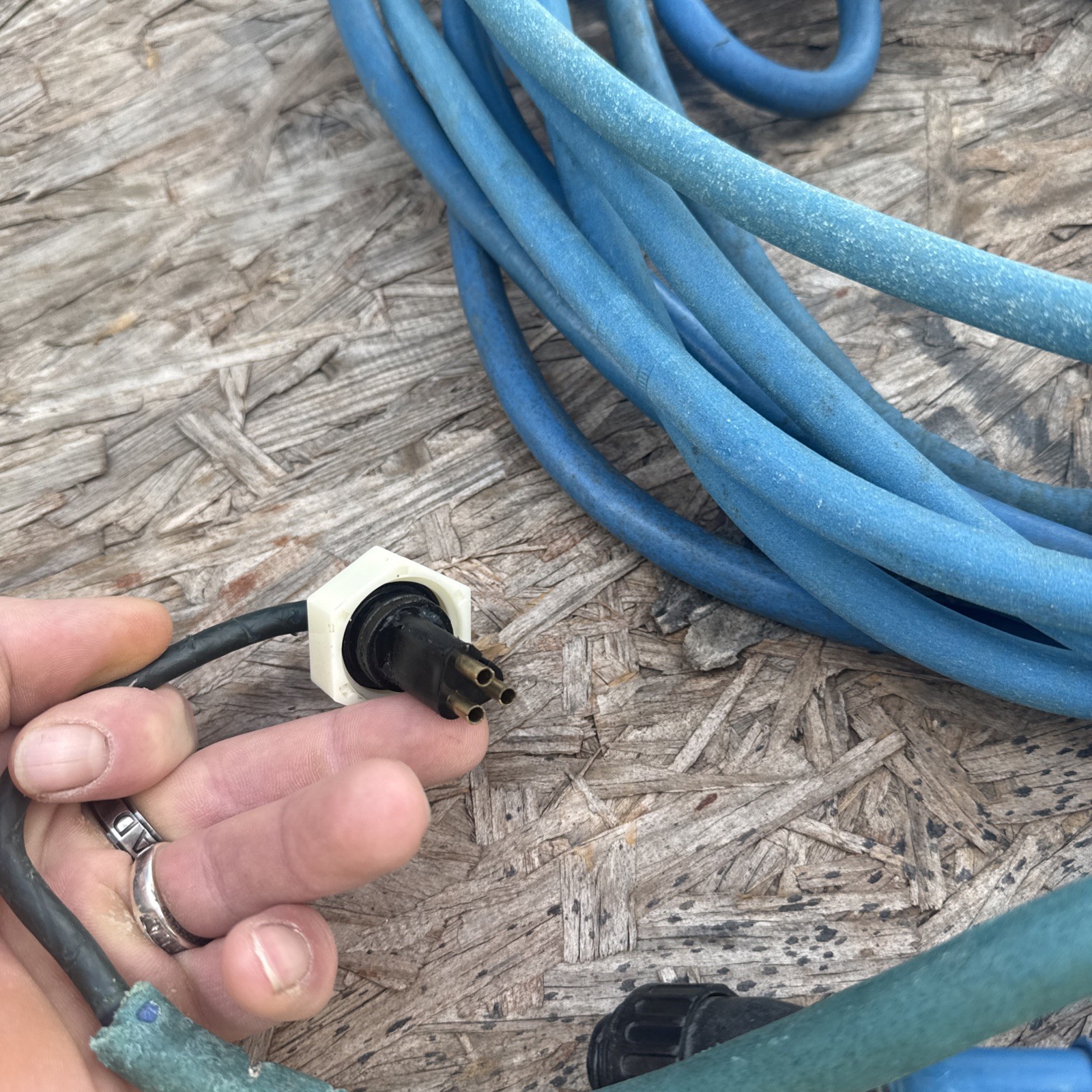 Authentic Dolphin Replacement Cable (3 Wire) – 60ft, Maytronics