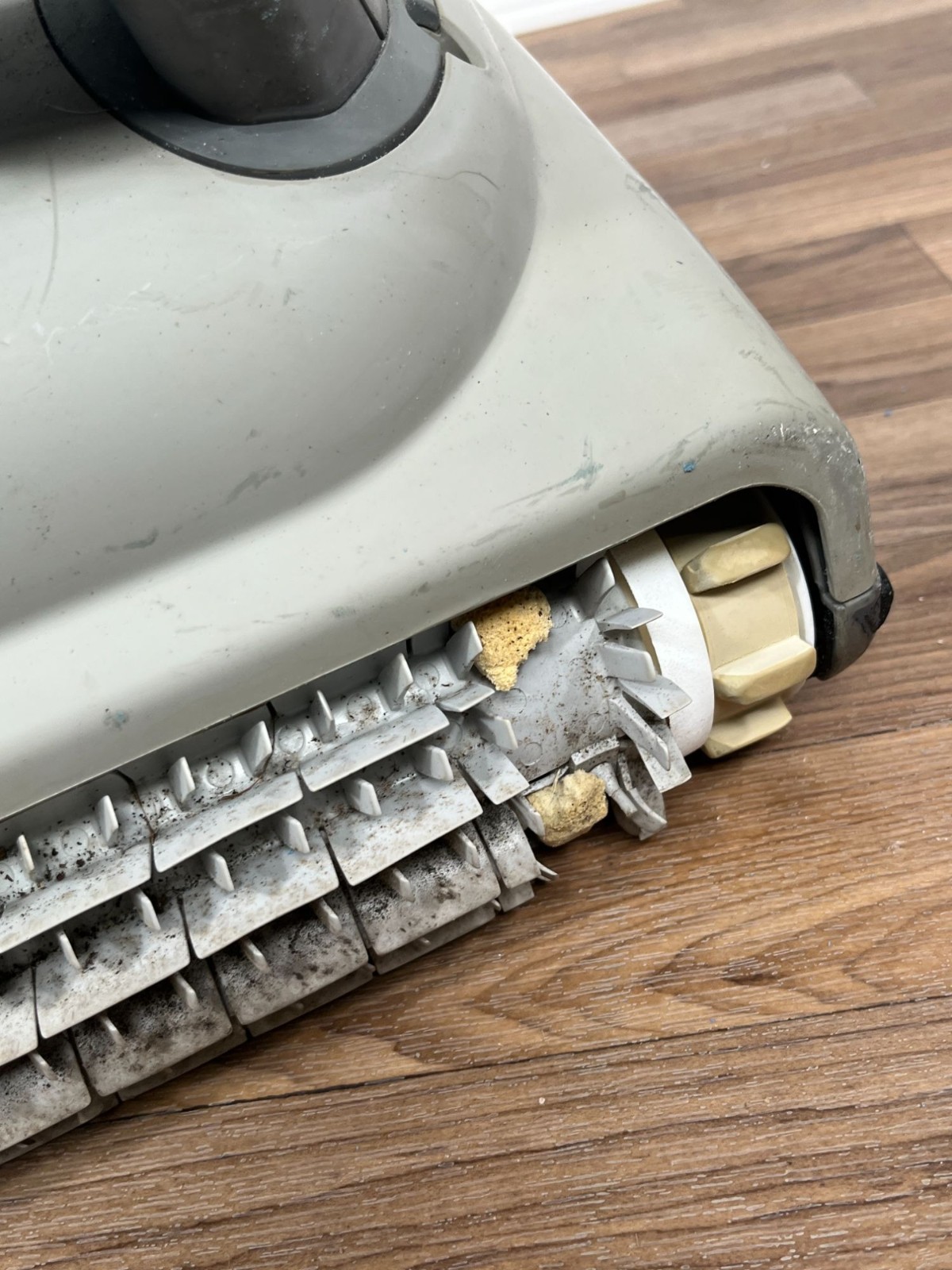 Maytronics Dolphin Proteus DX3 Pool Vacuum Only READ DESC