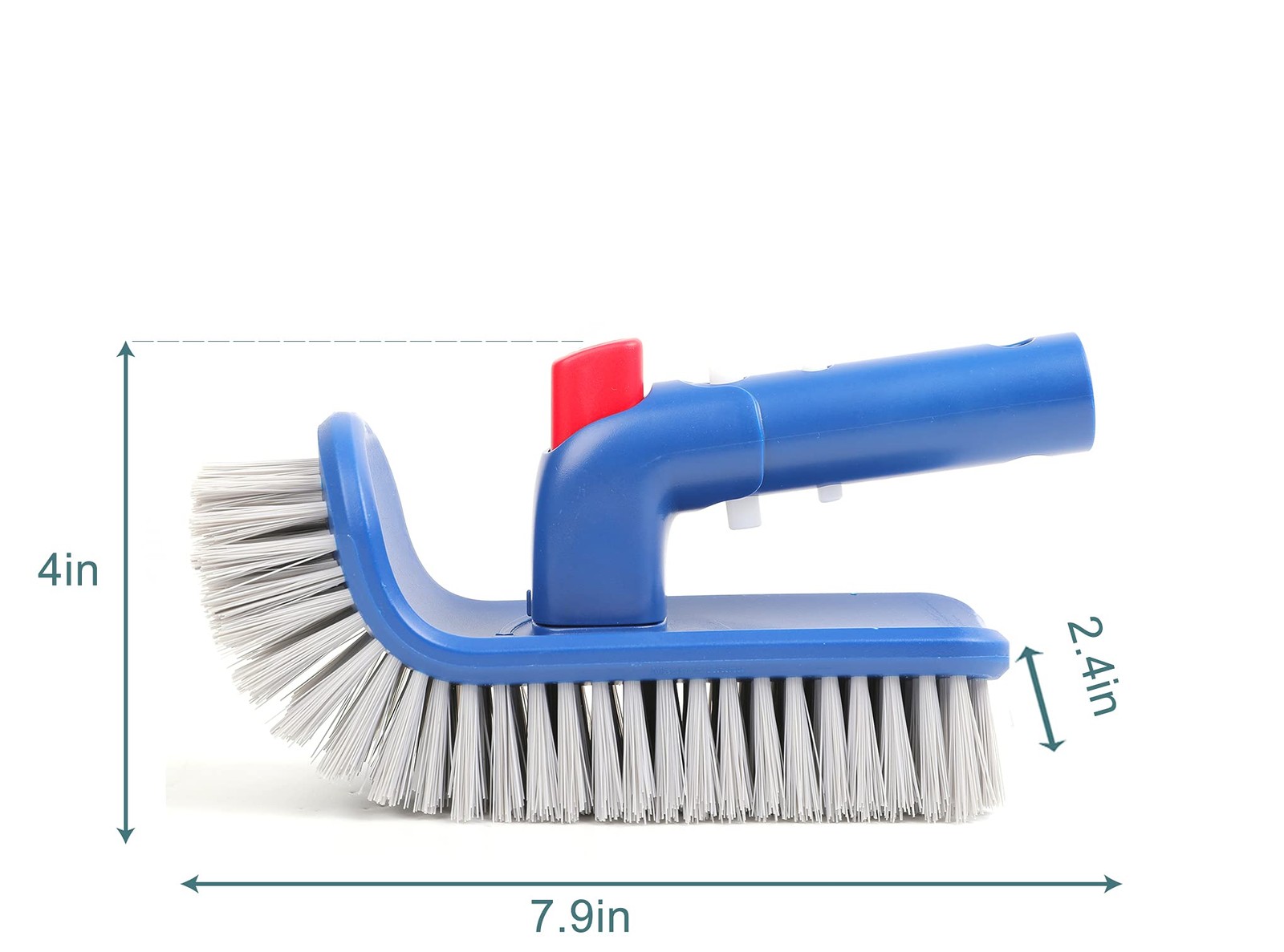 Pool Brush Head for Cleaning Walls, Steps, Corners – Inground & Above Ground