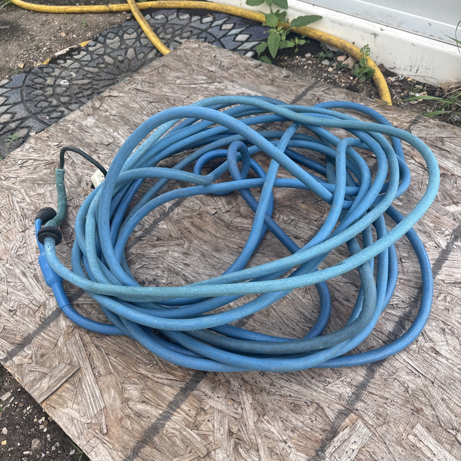 Authentic Dolphin Replacement Cable (3 Wire) – 60ft, Maytronics