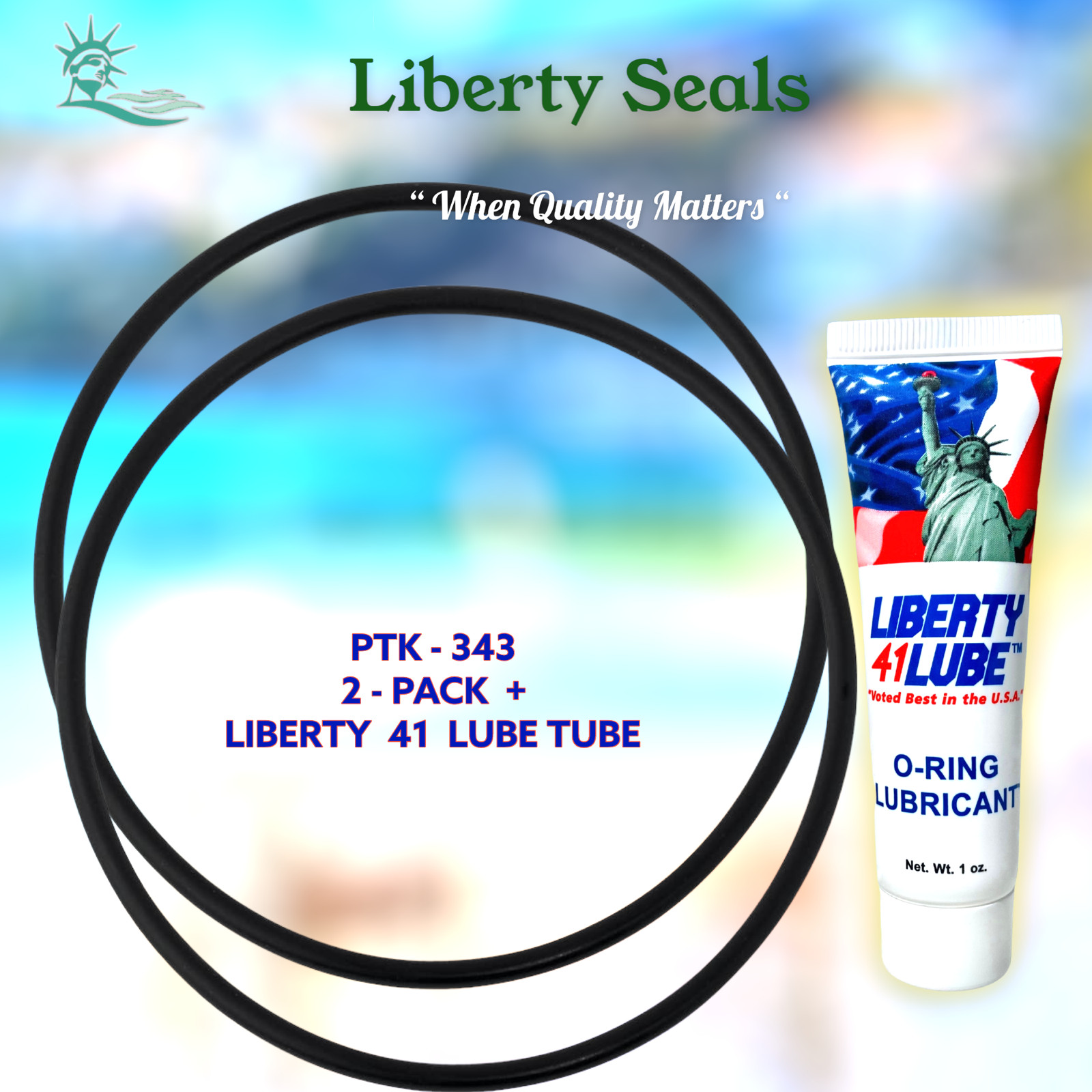 U9-389 U9-200 U9-399 PTK-343 Fits American 8730040 For Sta-Rite PLBC 2-PACK