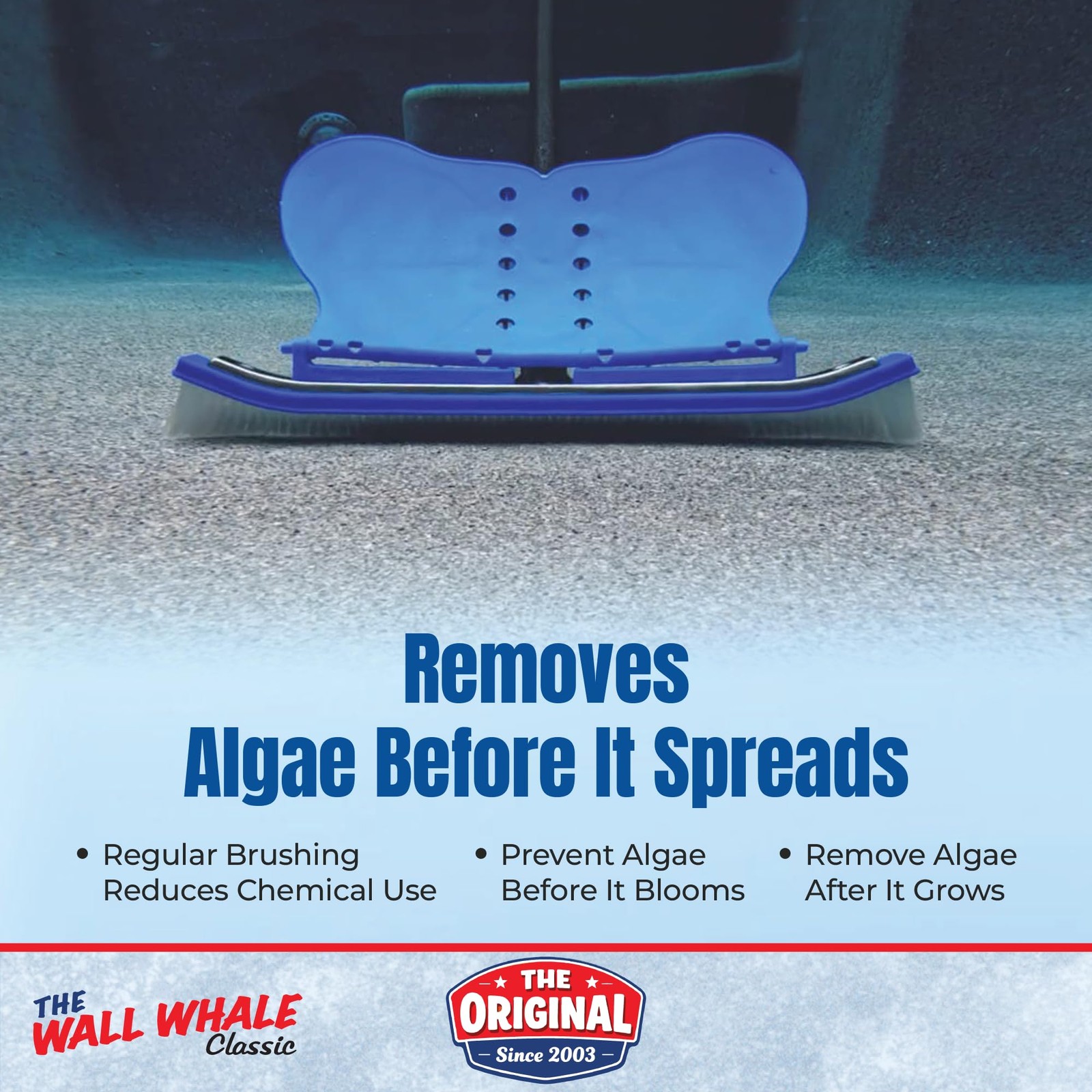 18&Prime; Swimming Pool Brush Head | More Than 10x the Brushing Force | Algae Remov…