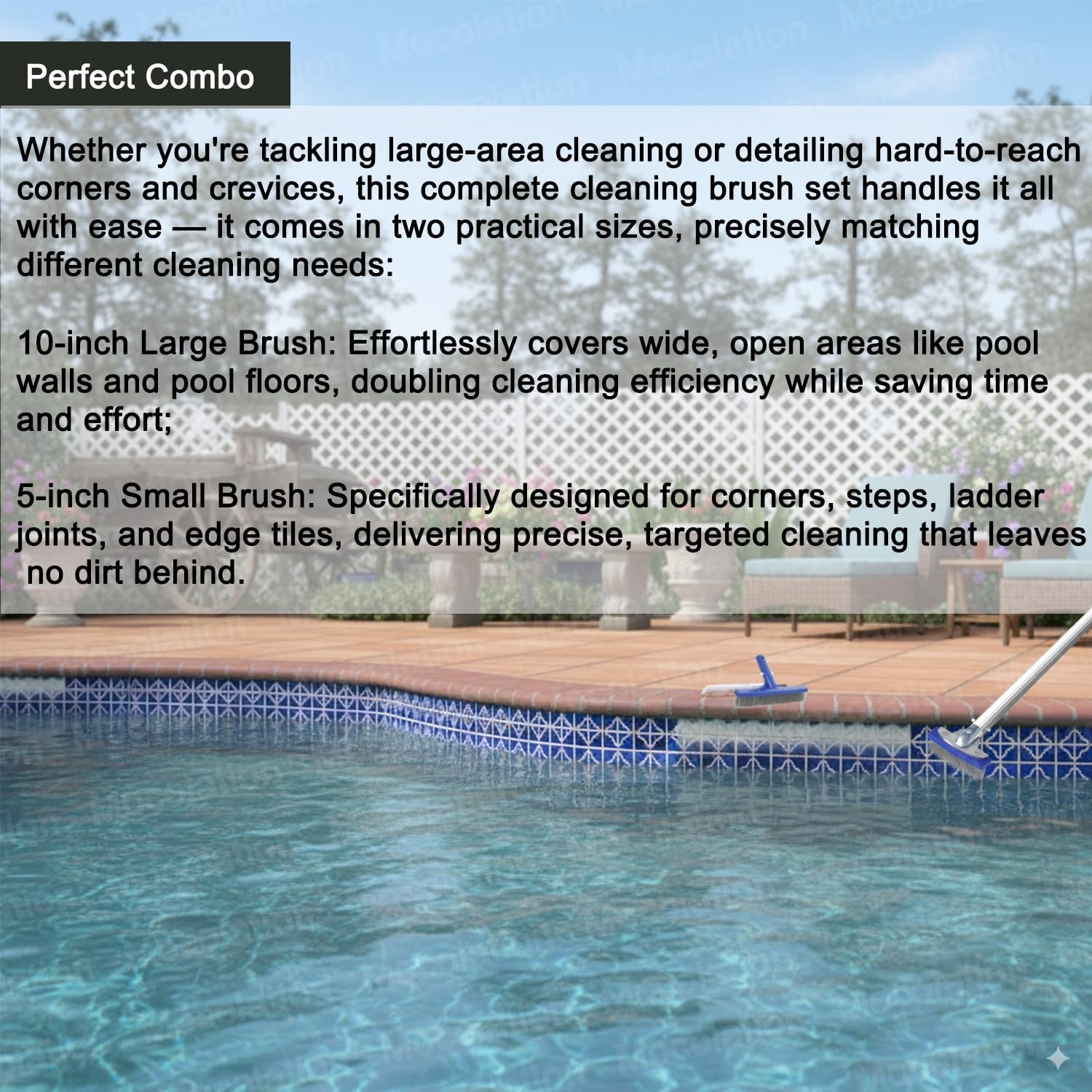 Stainless Steel Pool Brush Set & Pumice Stone for Rust Stains & Calcium Removal