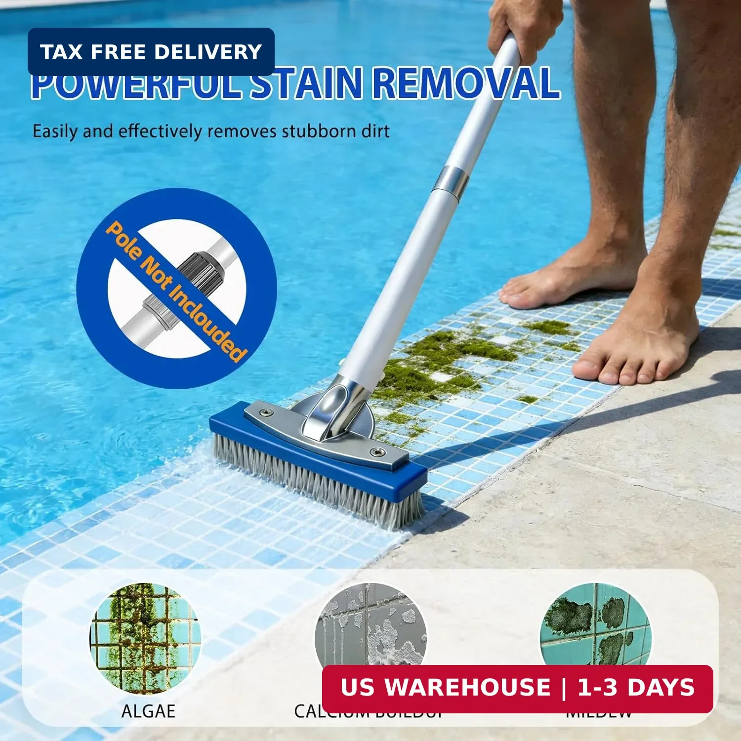 5-Inch Pool Brush Head – Combo Nylon & Stainless Steel Wire Bristles, Heavy Duty