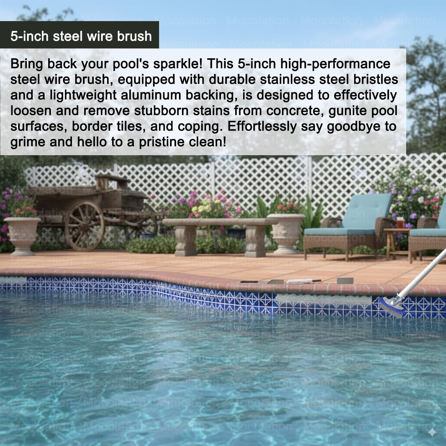Pool Pumice Stone and 5-In Stainless Steel Pool Brush Set with Ez-Clip Handle to