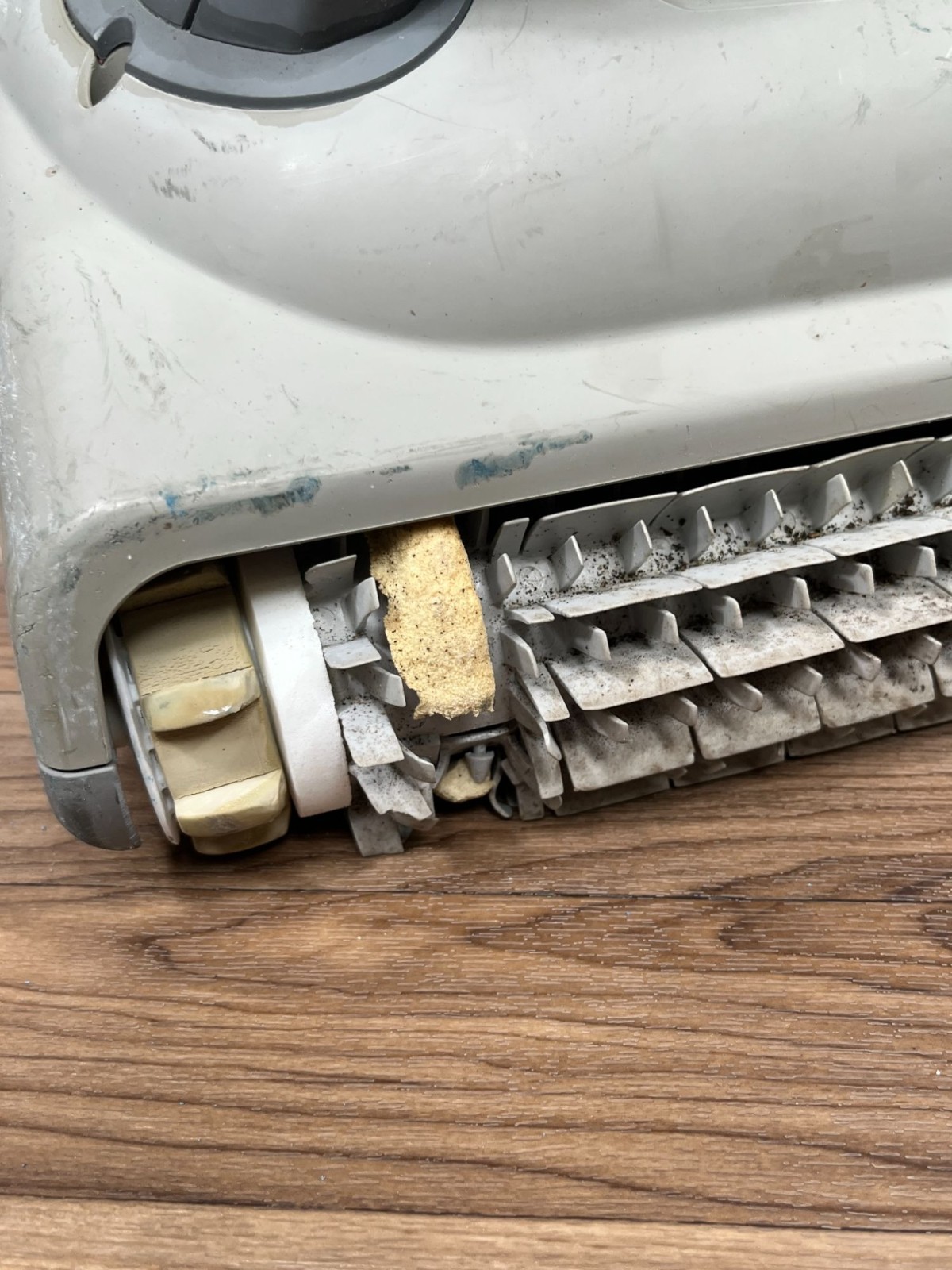 Maytronics Dolphin Proteus DX3 Pool Vacuum Only READ DESC
