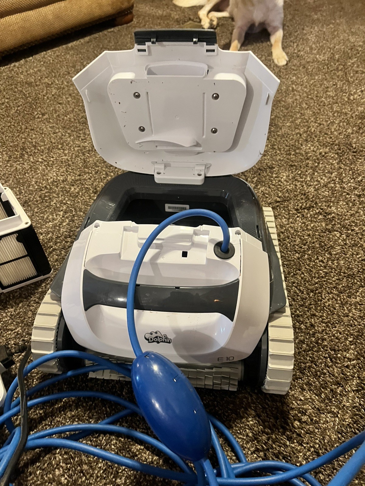 Dolphin E10 Automatic Robotic Pool Vacuum Cleaner, Active Scrubber Brush,