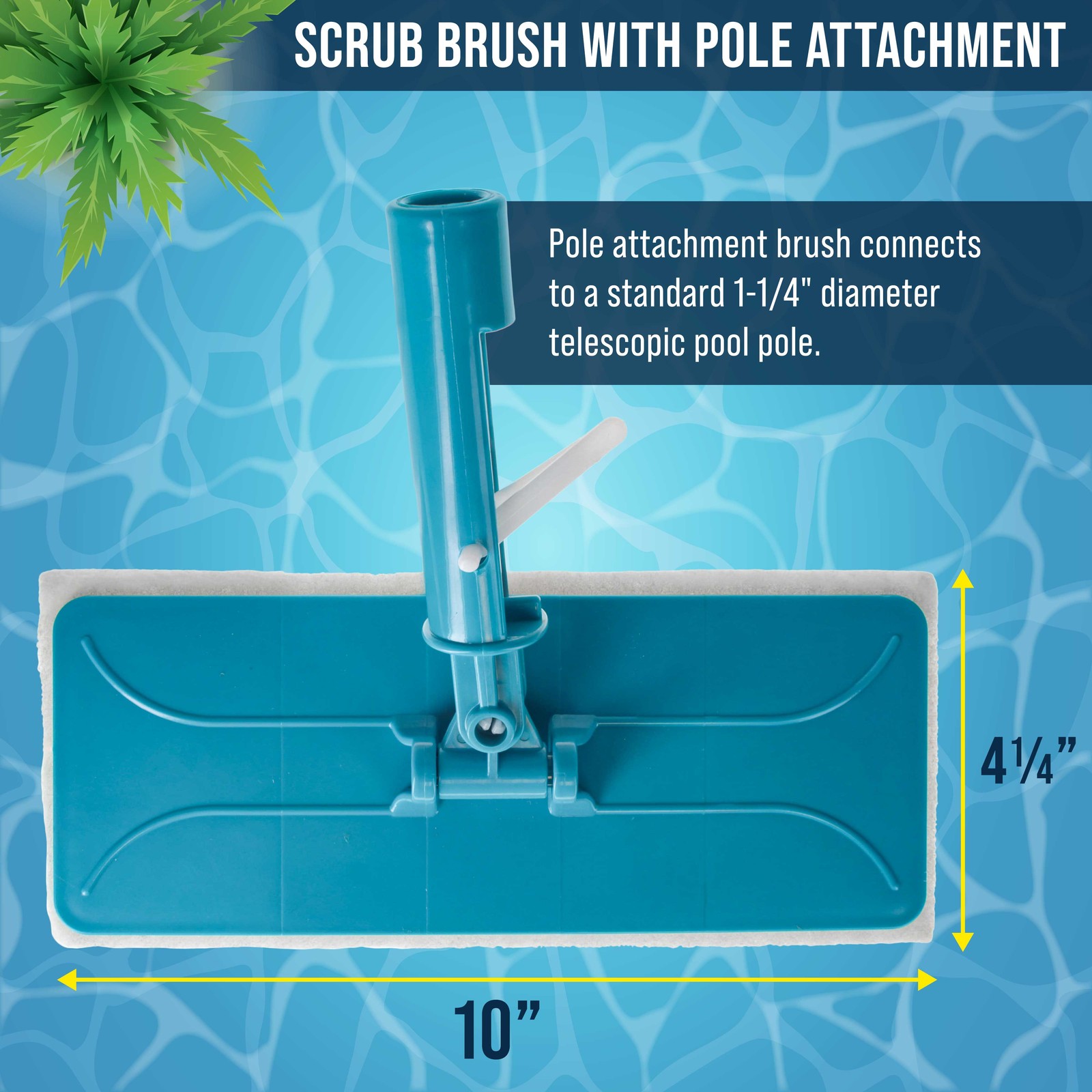 U.S. Pool Supply Hand-Held and Pool Pole Attachment Scrub Brushes, Scouring Pads