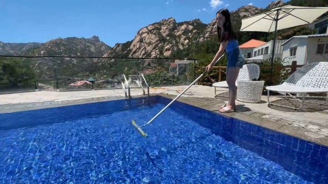 20 Inch Pool Brush Heavy Duty BPT Bristles Aluminum Handle Curved Ends Inground
