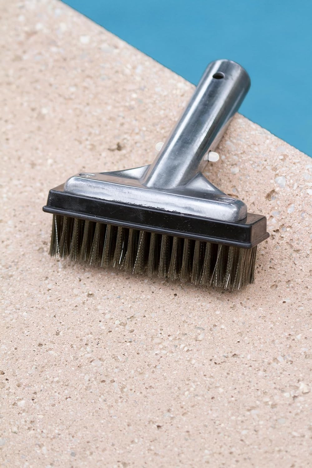 20178 5-Inch Aluminum-Back Swimming Pool Algae Brush with Stainless