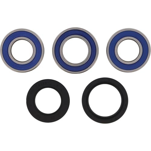 Racing 25-1111 Wheel Bearing Seal Kit Compatible with/Replacement for