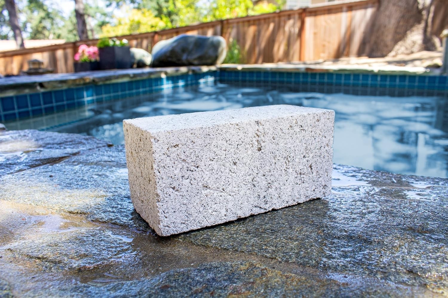 Extra Large Pumice Stone for Pool and Spa Cleaning