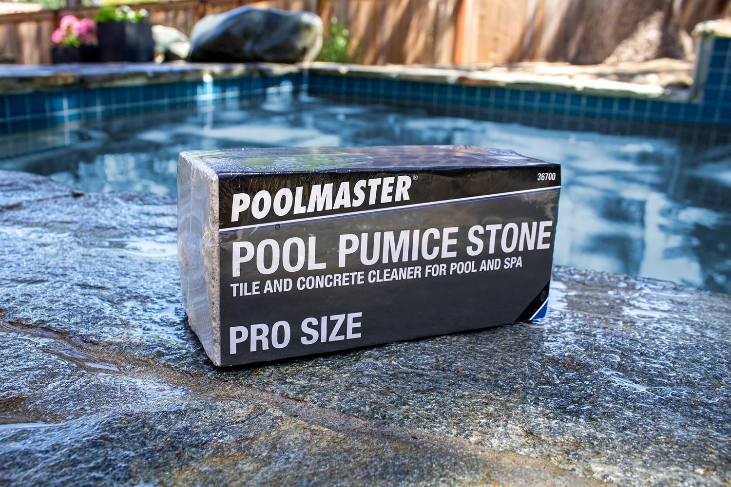 Extra Large Pumice Stone for Pool and Spa Cleaning