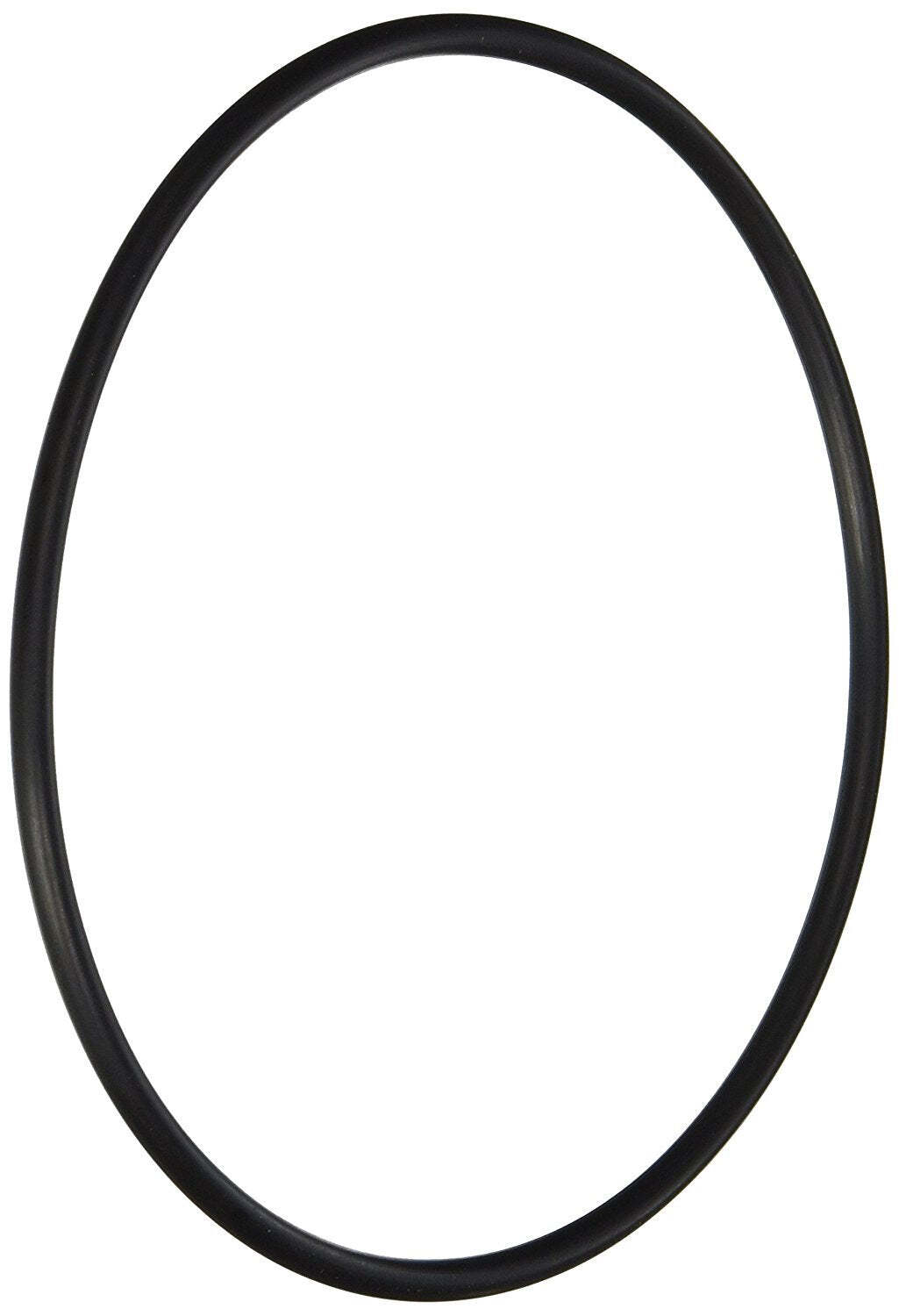 Hayward Leaf Canister O-Ring
