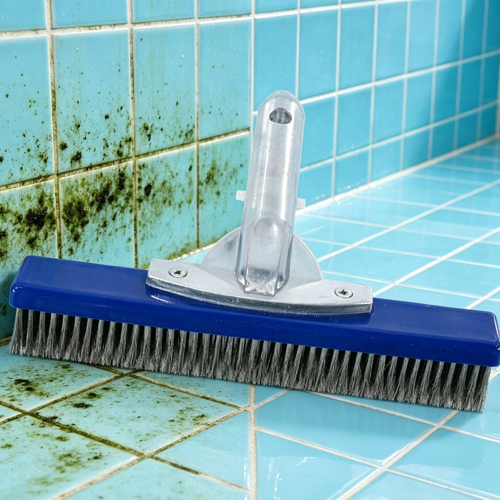 10&Prime; Stainless Steel Wire Bristle Pool Brush, Clean Concrete Rust, Tile Calcium