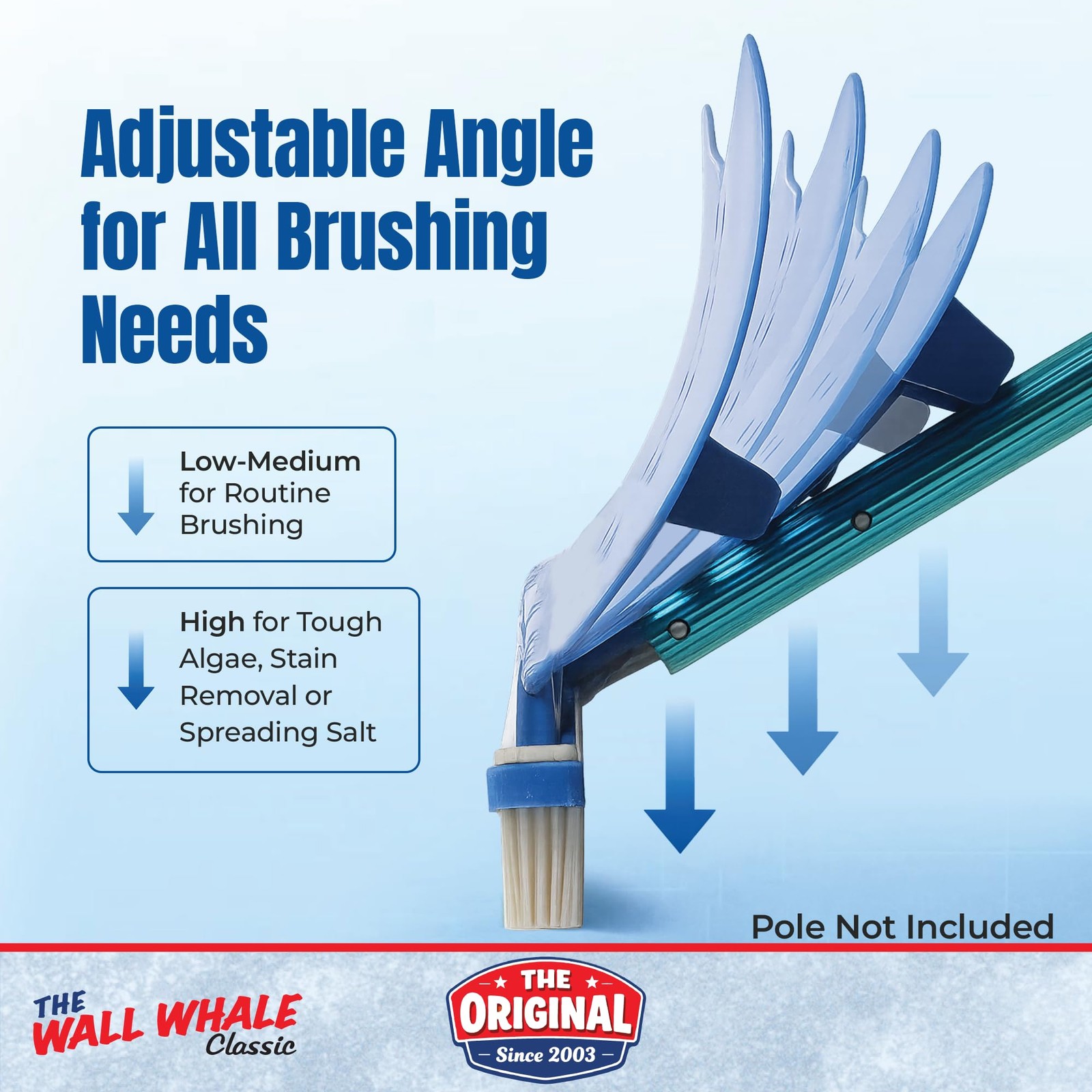 18&Prime; Swimming Pool Brush Head | More Than 10x the Brushing Force | Algae Remov…